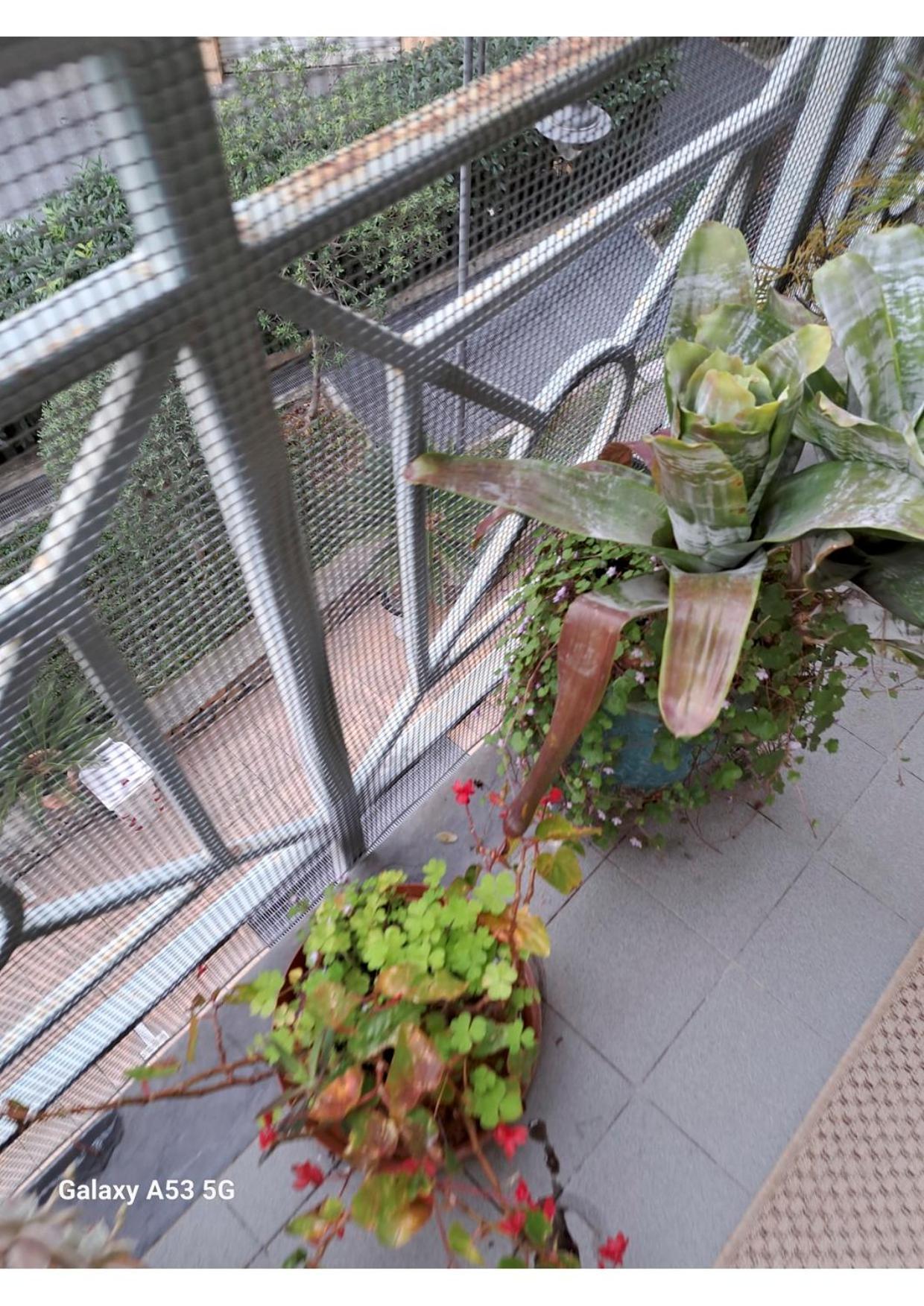 Centrale Vicino Spiagge E Ciclabile + Box-Auto ! Apartment Arma di Taggia Exterior photo